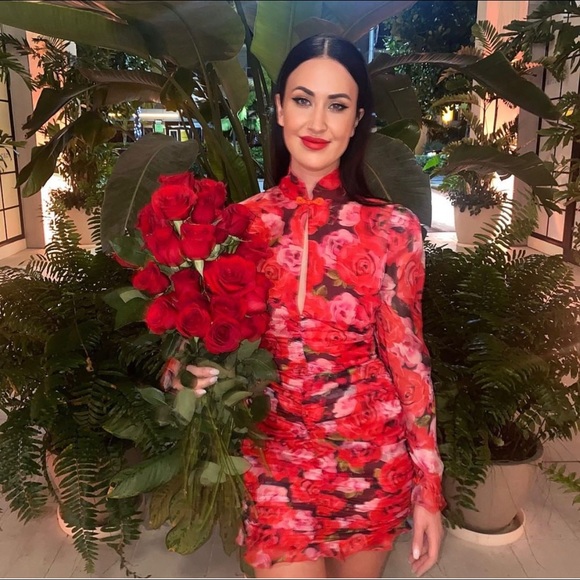 Brand new SAU LEE dress size 6. - Picture 4 of 4